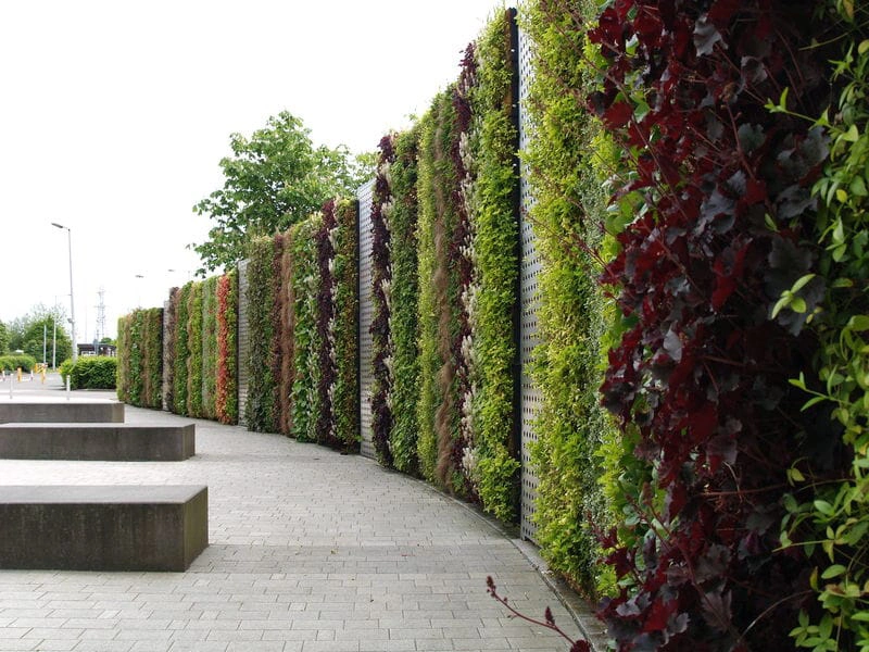 Vertical Garden & Living Wall System